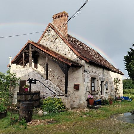Gite 4 Pers, Jacuzzi, Piscine, Proche Futuroscope, Calme Et Nature A La Roche Posay La Roche-Posay Exterior photo