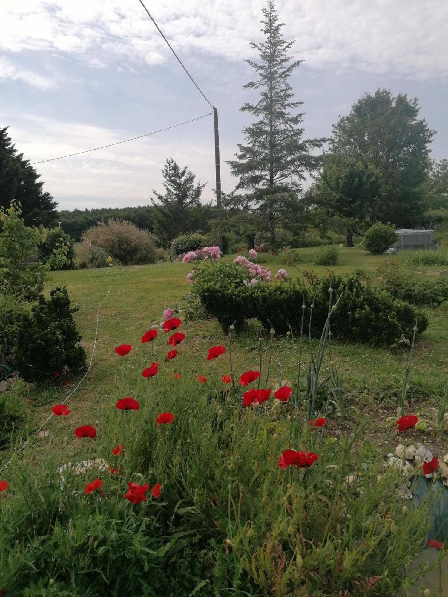 Gite 4 Pers, Jacuzzi, Piscine, Proche Futuroscope, Calme Et Nature A La Roche Posay La Roche-Posay Exterior photo