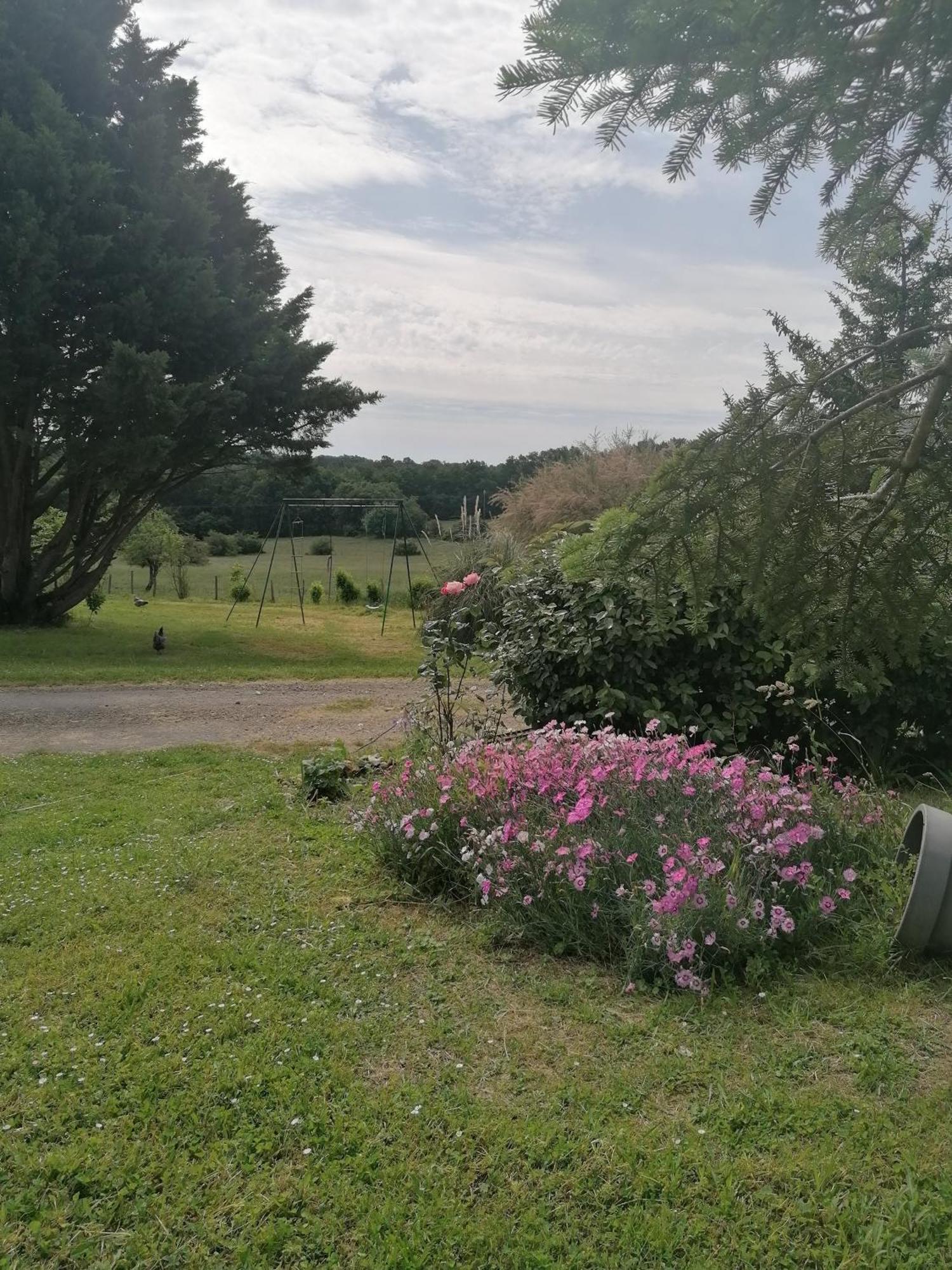 Gite 4 Pers, Jacuzzi, Piscine, Proche Futuroscope, Calme Et Nature A La Roche Posay La Roche-Posay Exterior photo
